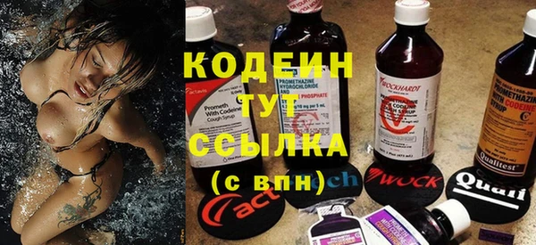 сатива Нягань