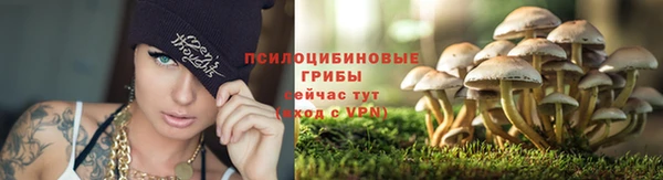 сатива Нягань