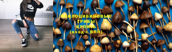 не бодяженный Алзамай